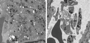 Capture-d’écran-2015-04-30-à-17.20.18-680x330