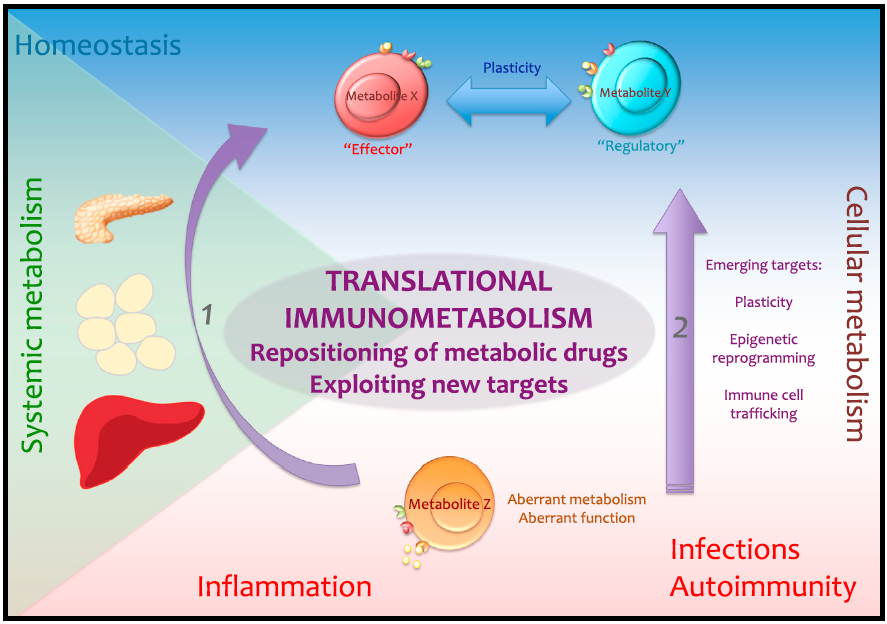 Immunity2015